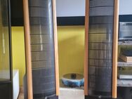 Martin Logan Aeon Elektrostat Lautsprecher - Hermsdorf
