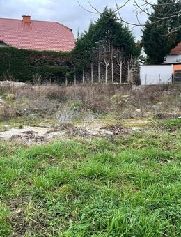reduzierter Preis - Baugrundstück - WS 4111 - Lambsheim