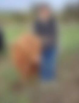 ste*** - Lauda-Königshofen