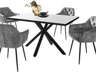 HELA Essgruppe CLEO Tischgruppe Bestseller, (Set, 5-tlg., 1 Tisch / 4 Stühle), Schalenstühle Tisch Wohnzimmer Esszimmer