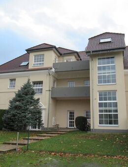 Charmante Wohnung mit flexiblem Raumkonzept - Bad Salzuflen