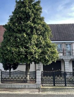 Viel Platz für Ihre Träume - Lauta