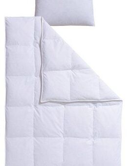 RIBECO Federbettdecke + Federkissen Laram, 2-tlg. Naturprodukt zum TOP-Preis!, Füllung: 90% Federn, 10% Daunen, Bezug: 100% Baumwolle, Decke mit Kissen, verschiedene Größen, Bettdecke 135x200, 155x220 cm