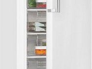 exquisit Gefrierschrank GS280-HE-040D, 171 cm hoch, 60 cm breit, 242 Liter Nutzinhalt, Display, Schnellgefrieren