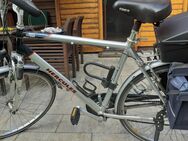 Gepflegtes Citybike silberfarben der Marke Hercules 28" - Süderbrarup