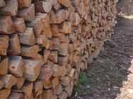 Brennholz Weichholz gespalten 1m - Neustadt (Aisch)