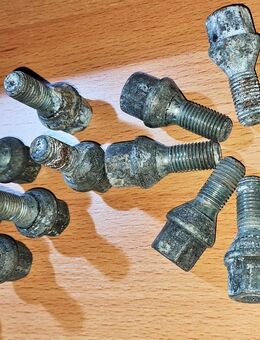 16 x Stück Radschrauben M12x1,5  22mm Schaftlänge Kegelbund 60° SW17 - Verden (Aller)