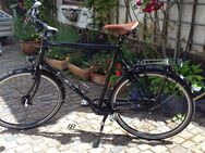 Velo de Ville T85 Premium, Trekkingrad, Top Zustand - Hamminkeln