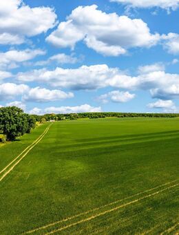 Moderne Reihenhäuser mit Garten, Keller & flexibler Planung in ruhiger Lage von Mittenwalde - Mittenwalde (Landkreis Dahme-Spreewald)