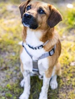 FRED-bringt Wärme in jedes Zuhause♥️ - Kleinheubach