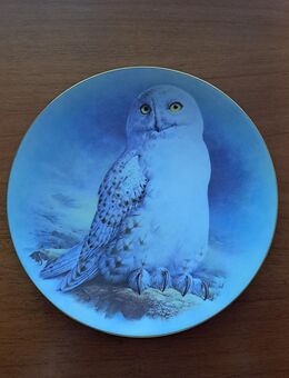 5 Sammelteller, Franklin Mint - Berlin