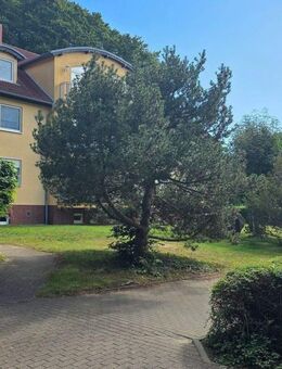 Traumwohnung am Streckelsberg in Koserow - Koserow
