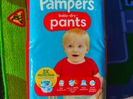 Pampers BabyDry Pants Größe 4 - 54 Windeln - Leipzig