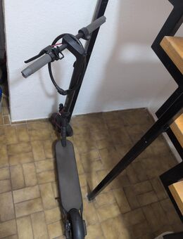 Xiaomi Electric Scooter 4 – Kaufe heute, zahle 20€ weniger! - Braunschweig