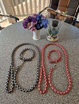 NEU - rund geflochtene / reflektierende Tau-Leine mit Halsband - Lehrte