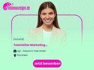 Teamleiter Marketing (m/w/d) - Pforzheim