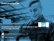 Produktionsfachkraft / Chemikant in der PCC-Anlage (m/w/d) - Hahnstätten