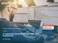 IT-Spezialist (m/w/d) Bereich R&D und Produktion - Klettgau