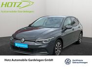 VW Golf, 1.5 TSI VIII Active, Jahr 2023 - Gardelegen (Hansestadt)