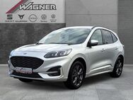 Ford Kuga, 2.0 EcoBlue ST-Line X Parklenk, Jahr 2020 - Steinen (Baden-Württemberg)