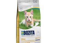 Sparpaket Bozita Großgebinde 2 x 10 kg - Grainfree Kitten (2 x 10 kg)