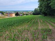 Großzügig bebaubares Grundstück mit Panoramablick - Holzheim (Landkreis Dillingen (Donau))