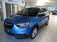 Opel Crossland X 1.5D INNOVATION *LED*Parksensoren - Hof