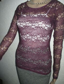 NEU * Edel * stylisch * Abend * Ausgeh * DESIGNER * Lace- Spitze * Longsleeve * Bodycon * Blusen * T-SHIRT * Gr. 36- 38/ S * aubergine * pflaume * lila * - Riedlingen