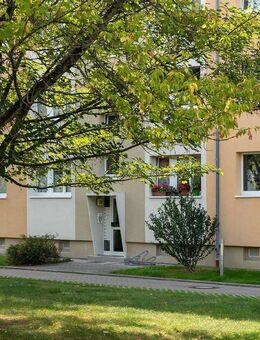Grüne gepflegte Wohnanlage - Leipzig