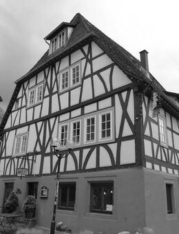Denkmalgeschütztes historisches Gasthaus mit vielseitigem Potenzial im mittelalterlichen Ortskern! - Erbach (Hessen)