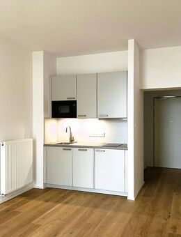 Neue seniorengerechte Wohnung 2 ZKB mit großer Terrasse, Aufzug, uvm mit Blick in den Park im Süden von Amberg - Amberg