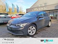 VW Golf, 1.5 TSI Life 20xVORHANDEN, Jahr 2023 - Oschersleben (Bode)