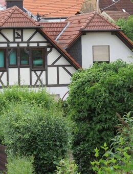 Ehemaliges Kelterhaus in Spiesheim, 1988 kernsaniert, gepflegt - Spiesheim