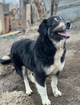 Anni sucht ihre Familie - Markkleeberg