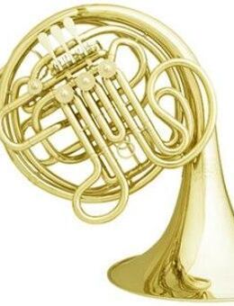 Meister Hans Hoyer 7802 Profiklasse - Doppelhorn. Ausstellungsinstrument - Hagenburg