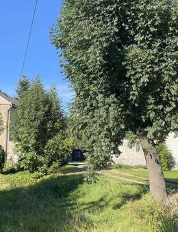 Ruhiges Grundstück mit großer Scheune - Liebstadt