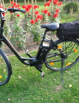 EBIKE Kalkhoff Mittelmotor 8 Gang Nabenschaltung - Bad Neuenahr-Ahrweiler