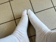 Teveo Socken - Hannover