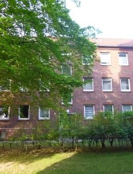 3,5 Zimmer in Herne Baukau - Herne