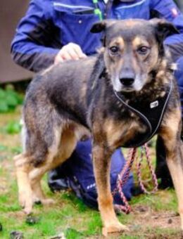 Erfüllst du Eagers großen Wunsch? - München