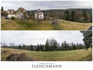 Ihr neues Zuhause - Großzügige Eigentumswohnung in idyllischer Lage - Altensteig