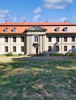 Teilsaniertes Schloss des Klassizismus zwischen Leipzig und Dessau - Sandersdorf Sandersdorf