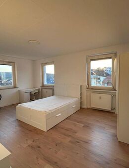 Schönes vollmöbliertes 1-Zimmerapartment im Zentrum Heidenheims mit Schlossblick - Heidenheim (Brenz)