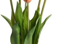 Kunstpflanze Maiva Tulpe, my home, Höhe 47 cm, Tulpenbündel im 7er-Set