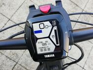 Herren Winora E-bike yucotan 12 pro, gr. 56, Bj. 2021 zu verkaufen - Kolitzheim