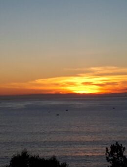 Möchtest du (w) aus der Einsamkeit gern Zweisamkeit machen? - Hannover