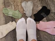 Socken, Nylons, Sneaker Socken - Hannover