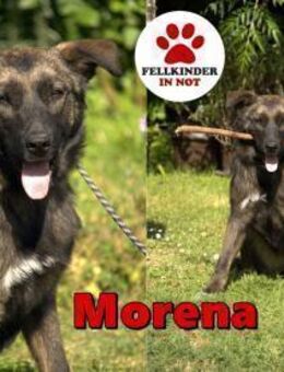 liebe Morena sucht eine Familie - Margetshöchheim