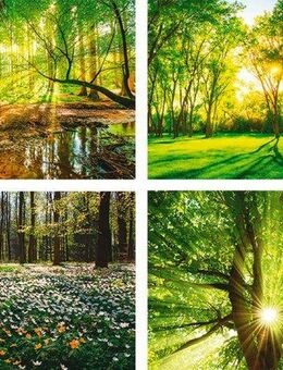 Artland Poster Wald Bach Frühling Windrosen Sonne Baum, Wald (4 St), Poster, Wandbild, Bild, Wandposter