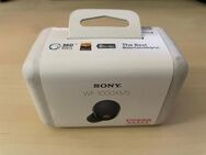 Sony WF-1000XM5, NEU & ungeöffnet!!! - Sankt Peter-Ording